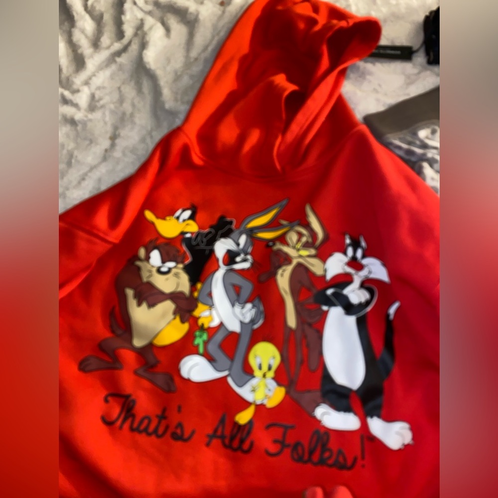 Looney Tunes Hoodie
